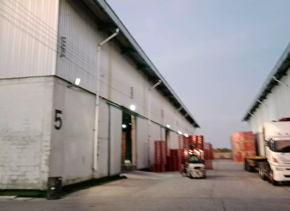 warehouse-bangna-18-3